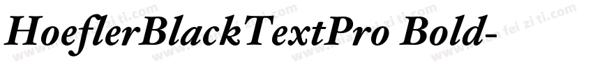 HoeflerBlackTextPro Bold字体转换
